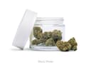 Black Maple • 3.5g
