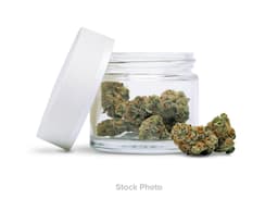 Black Maple • 3.5g