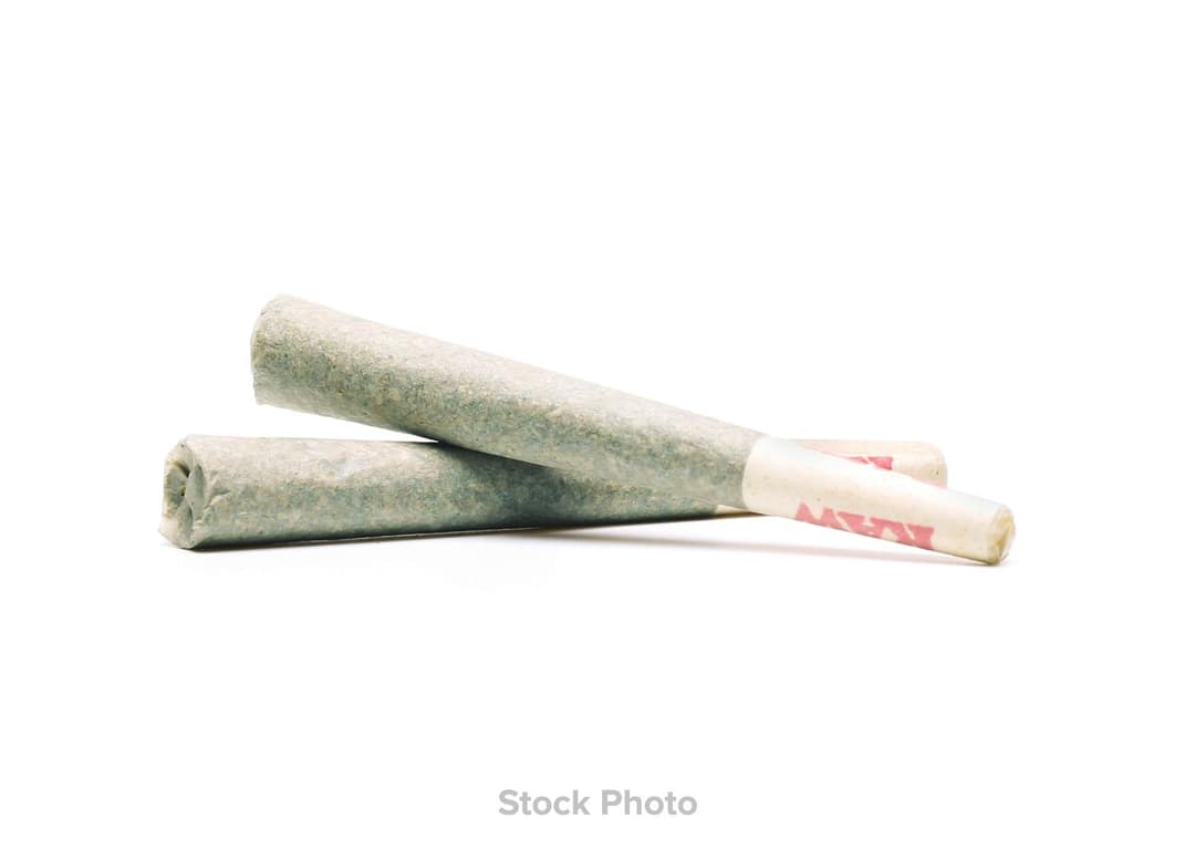 Fat Bastard • pre-roll 2 pack • 1.75 -  | Treehouse Cannabis