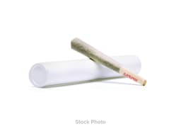 Platinum Blue Cookies Hash Infused Pre-Roll • 1g