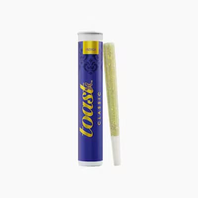 Gorilla Glue x Purple Punch • Toast • Pre-Roll • 1g - Toast | Treehouse Cannabis