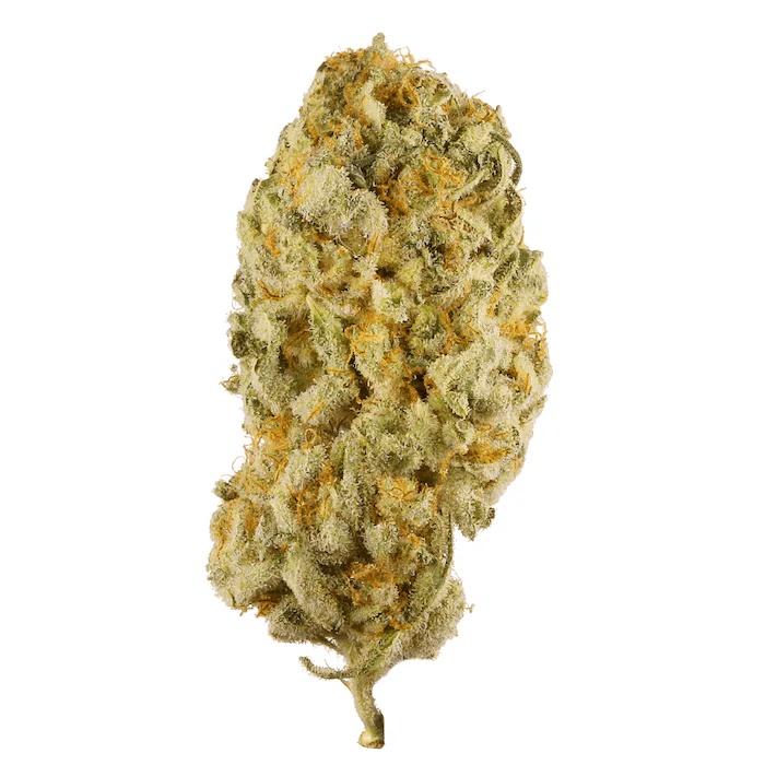 Jack Herer Platinum Reserve Flower 3.5g - Platinum Reserve