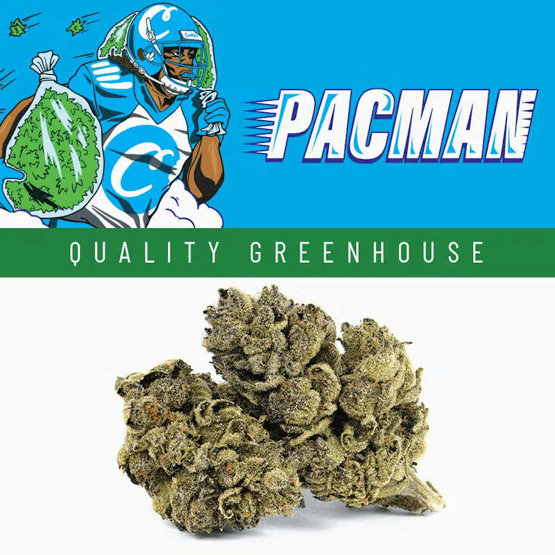 Pacman • Cookies • 3.5g - Cookies | Treehouse Cannabis