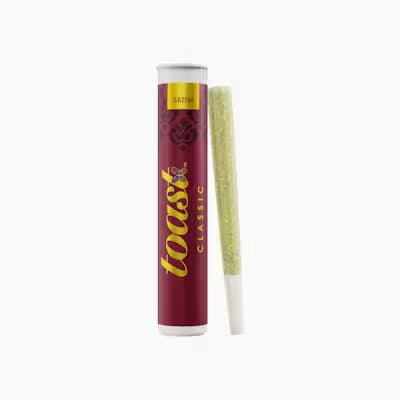 Candy Apple Fritter Toast Pre-Roll 1g - Toast