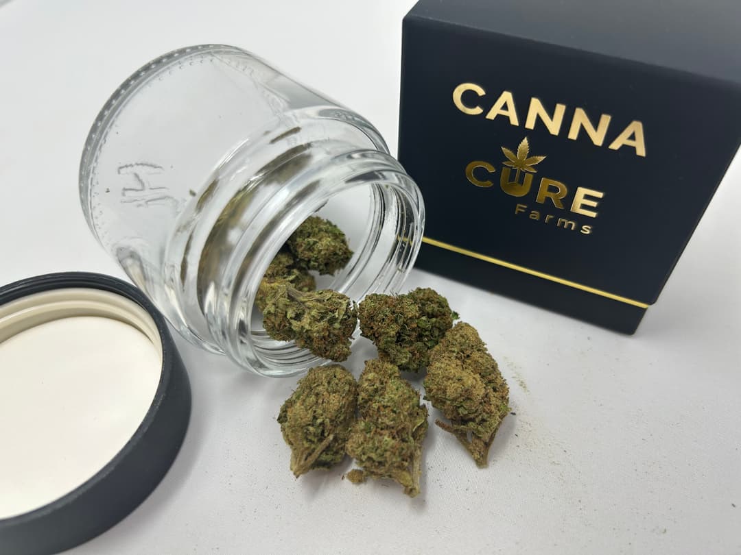 White Widow • CannaCure • Flower • 3.5g - Canna Cure | Treehouse Cannabis