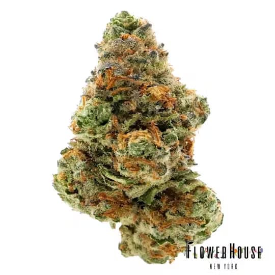 Jealousy Kush Mintz Flower House Flower 3.5g - Flower House