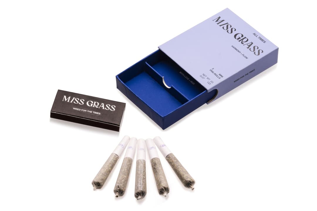 All Times • Miss Grass • 5 Pack • 2g - Miss Grass | Treehouse Cannabis