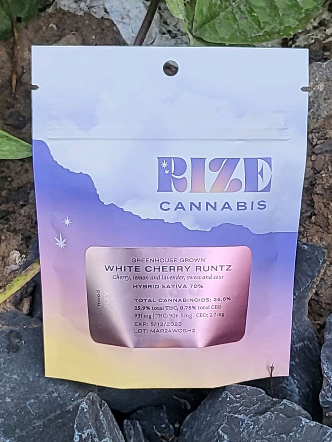 White Cherry Runtz • Rize Cannabis • Flower • 3.5g - Rize Cannabis | Treehouse Cannabis
