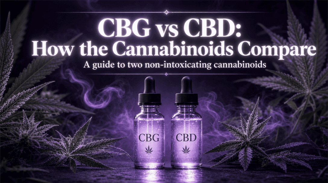 CBG vs CBD: How the Cannabinoids Compare blog post cover image