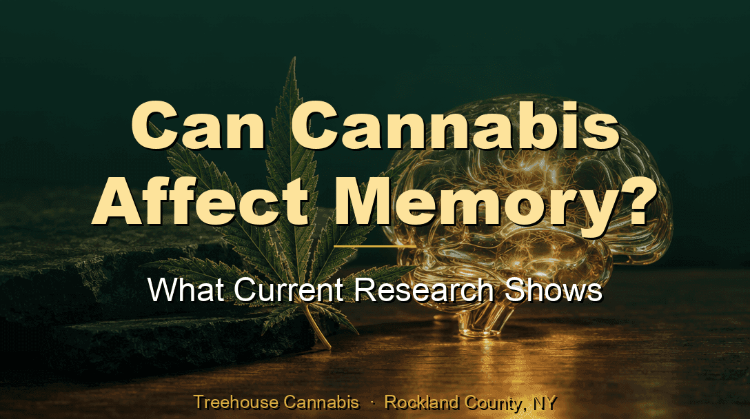 Can Cannabis Affect Memory? What Current Research Shows blog post cover image