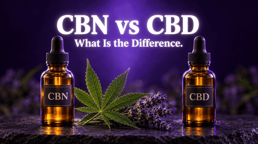 CBN vs CBD: What Is the Difference? blog post cover image