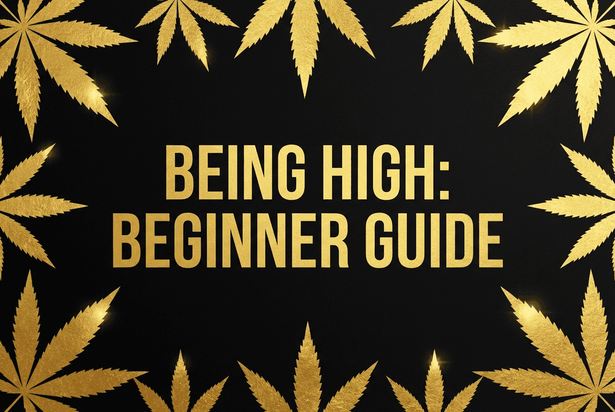 What Does Being High Feel Like? A Beginner's Guide blog post cover image