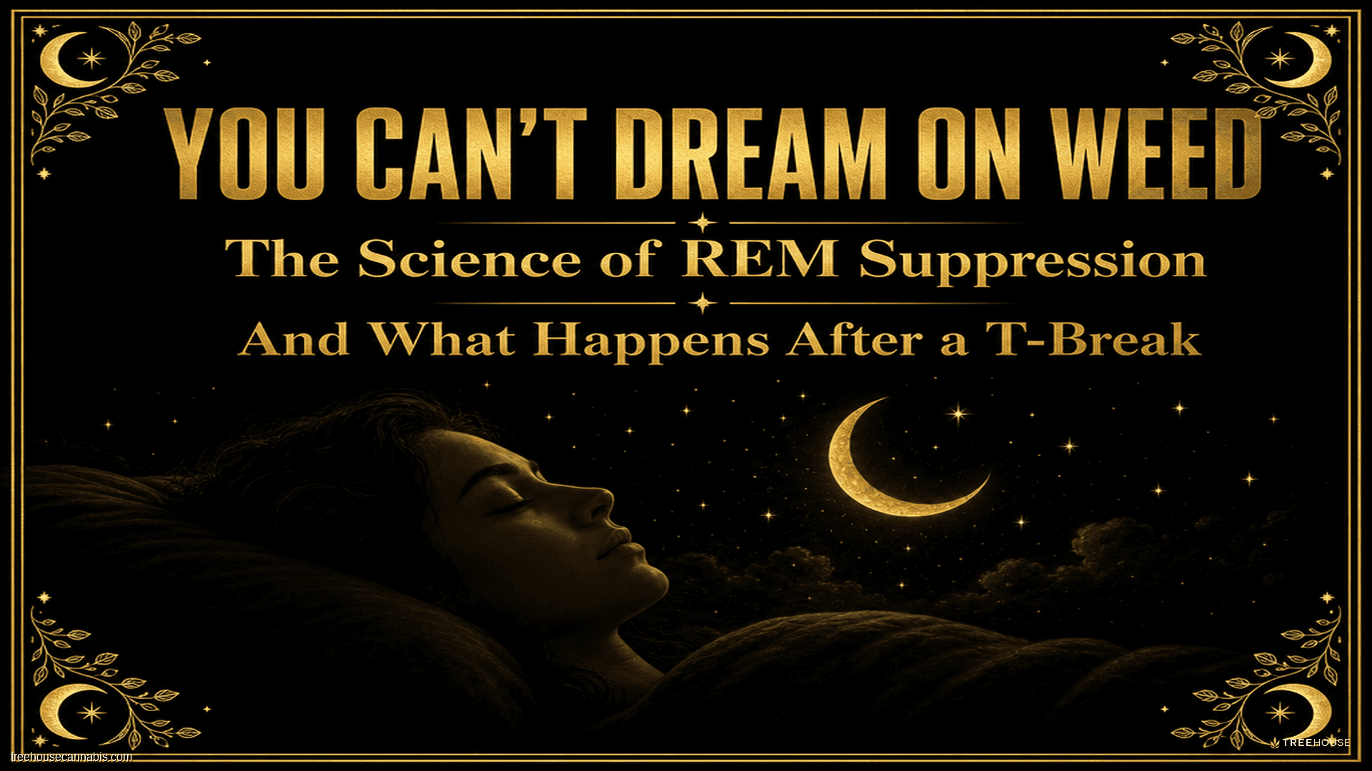 You Can't Dream on Weed: The Science of REM Suppression and What Happens After a T-Break blog post cover image