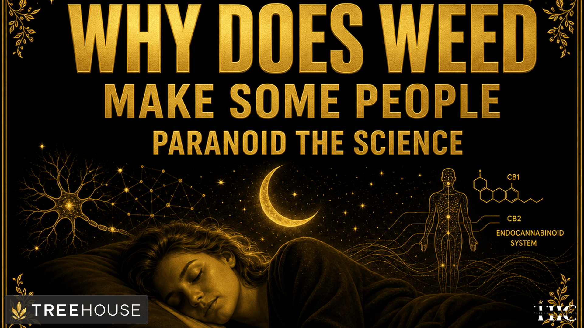 Why Does Weed Make Some People Paranoid? The Science Behind the Anxious High blog post cover image