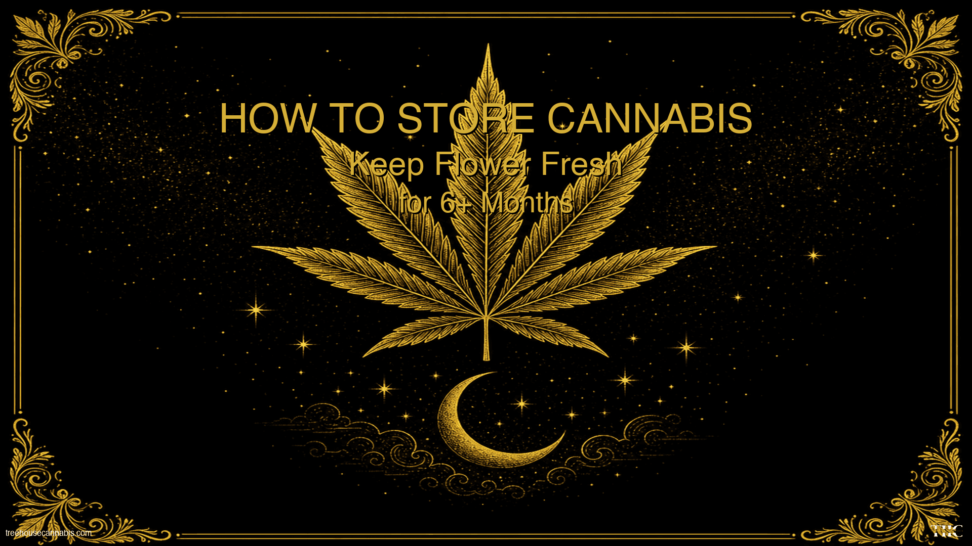 How to Store Cannabis: Keep Flower Fresh for 6+ Months blog post cover image