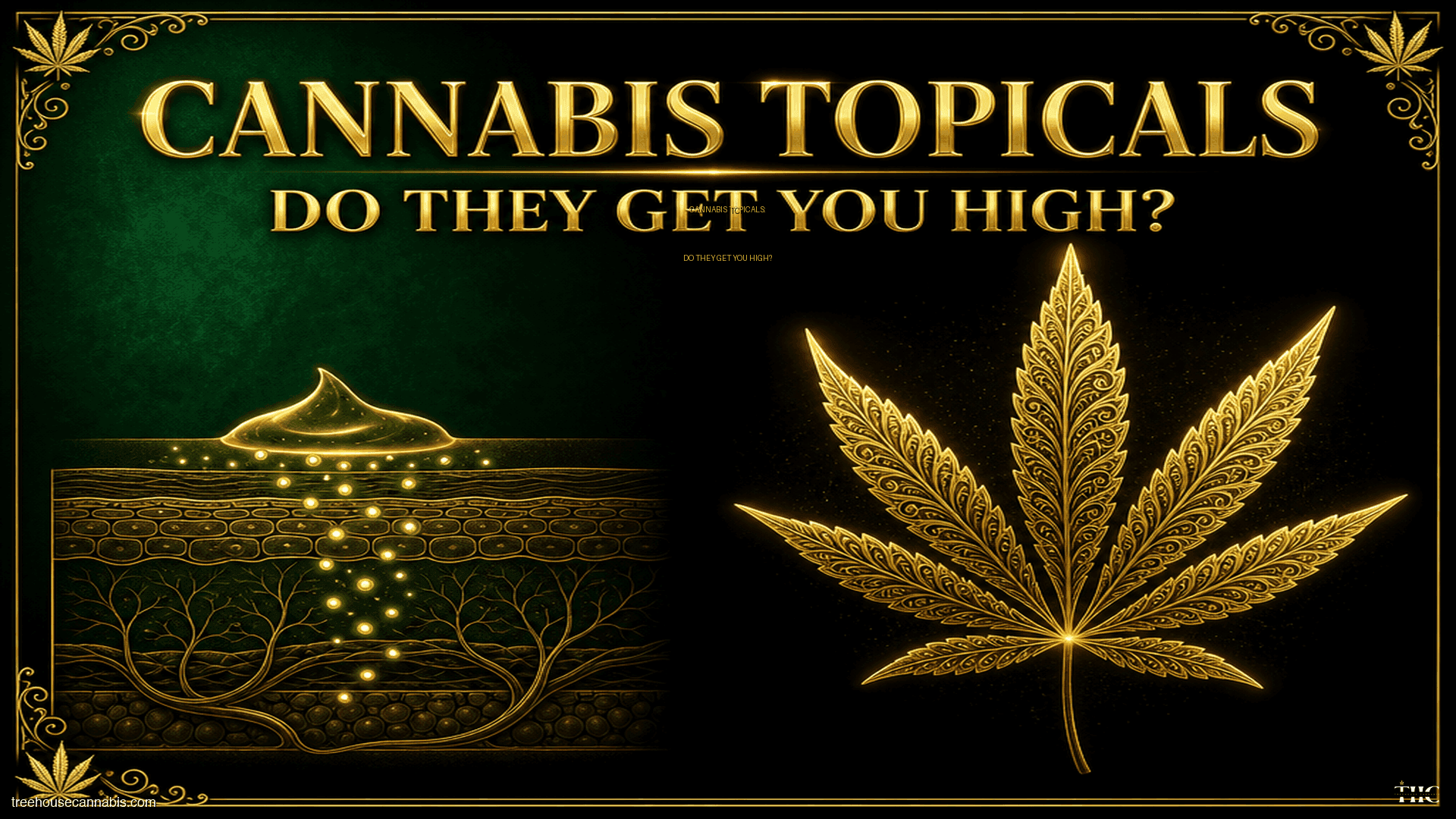 Cannabis Topicals: Do They Get You High? blog post cover image
