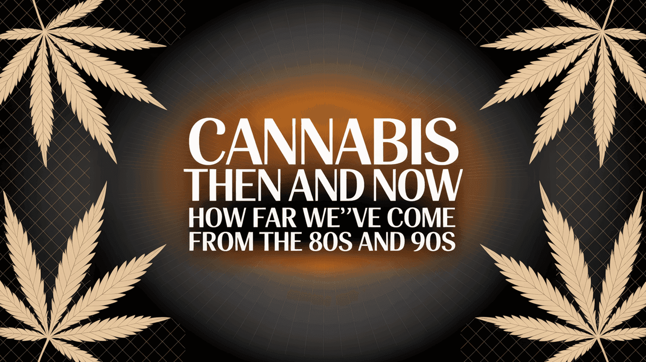 Cannabis Then and Now: How Far We've Come from the 80s and 90s blog post cover image