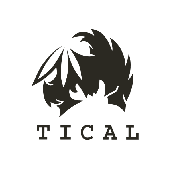 TICAL brand logo