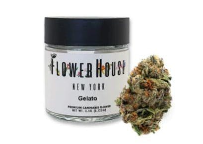 Gelato • 3.5g - Flower House - FLOWER - Rockland County Weed Delivery | Treehouse Cannabis