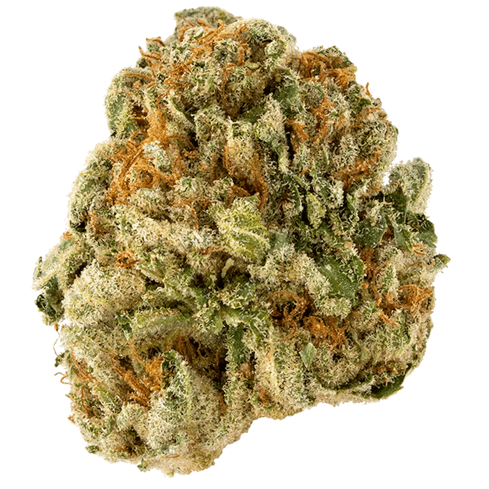 Hawaiian Runtz • 3.5g - Platinum Reserve - FLOWER - Rockland County Weed Delivery | Treehouse Cannabis
