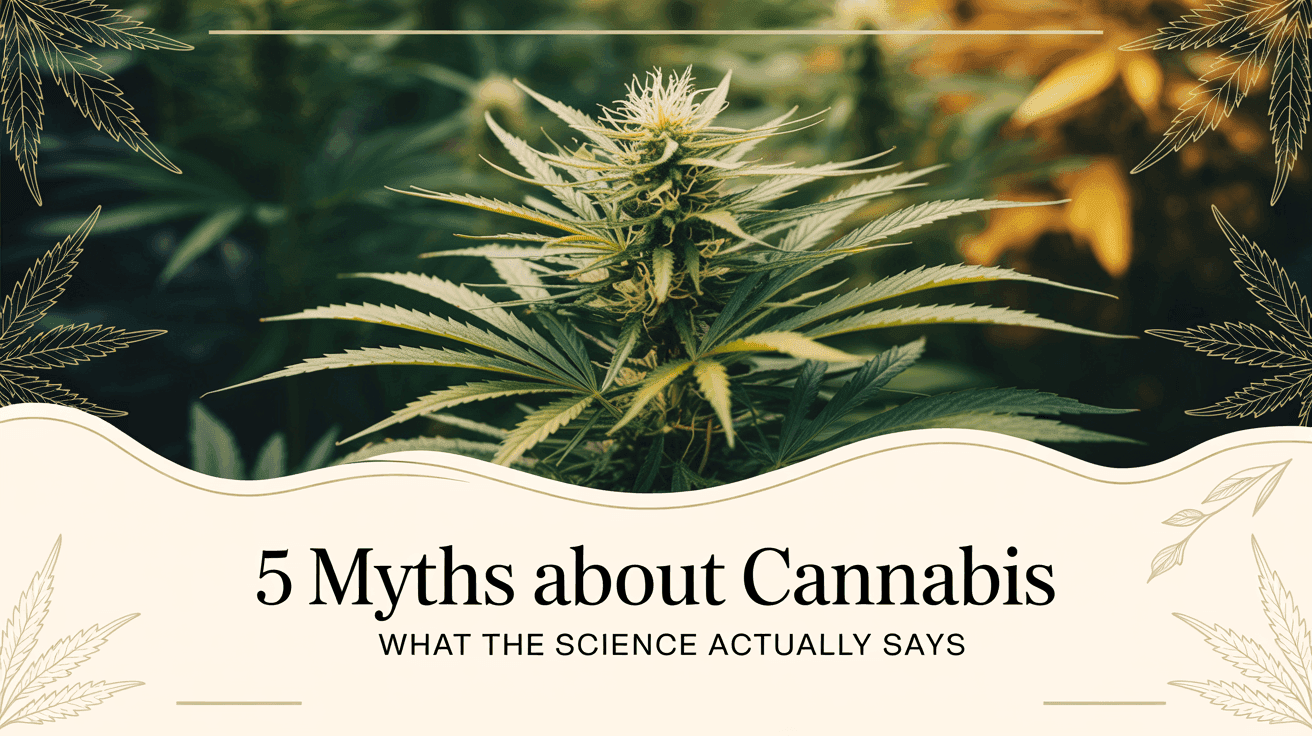 5 Myths About Cannabis — What Science Actually Says blog post cover image