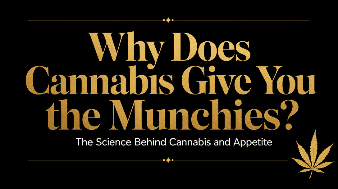 Why Does Cannabis Give You the Munchies? blog post cover image