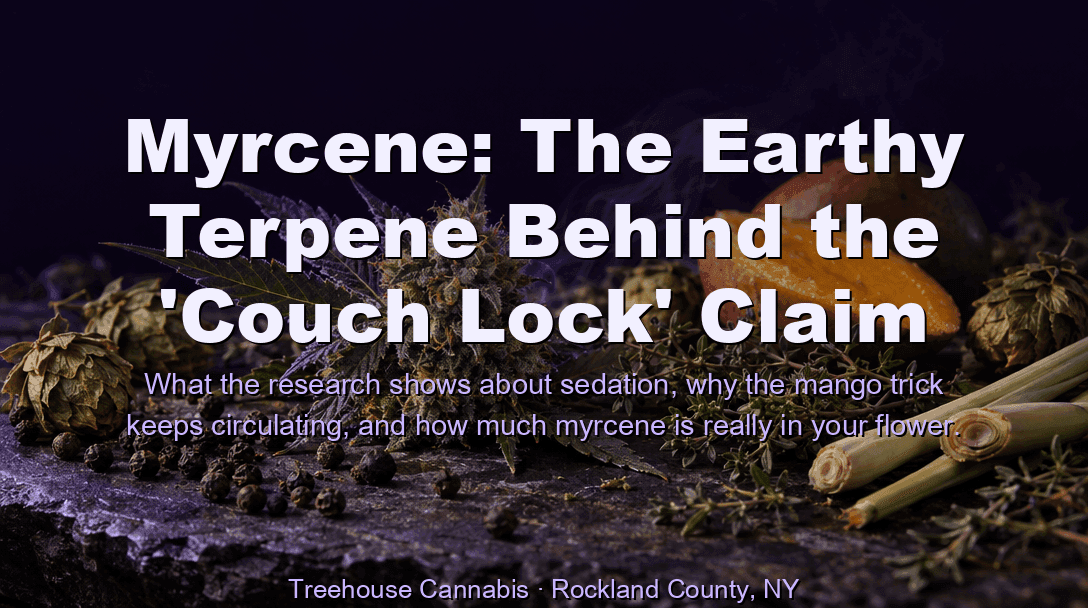 Myrcene: The Earthy Terpene Behind the 'Couch Lock' Claim blog post cover image