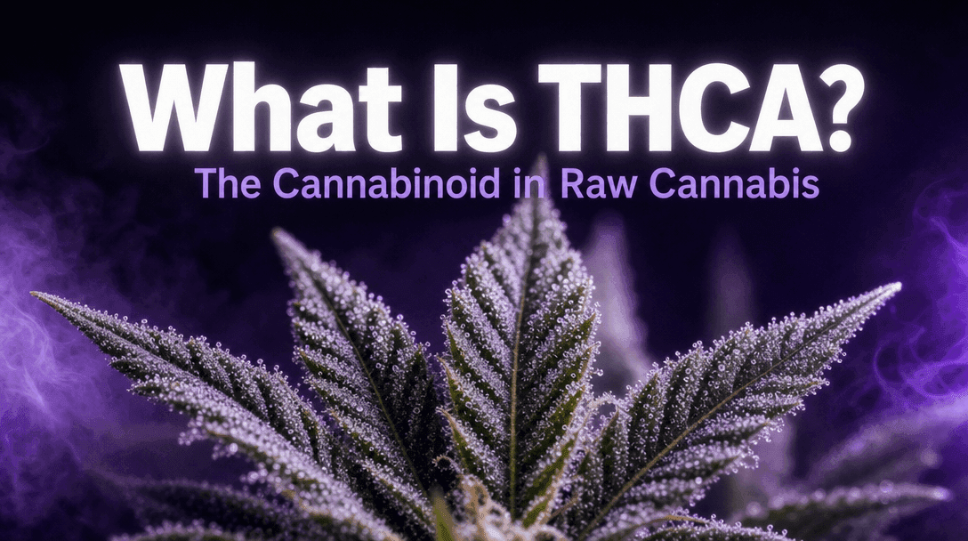 What Is THCA? The Cannabinoid in Raw Cannabis blog post cover image