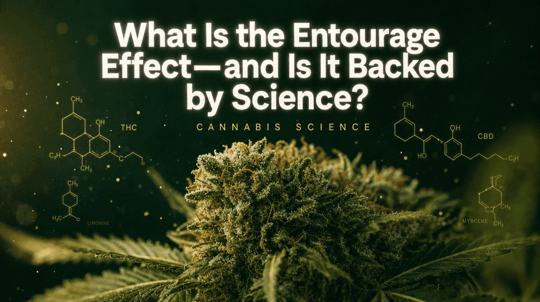 What Is the Entourage Effect—and Is It Backed by Science? blog post cover image