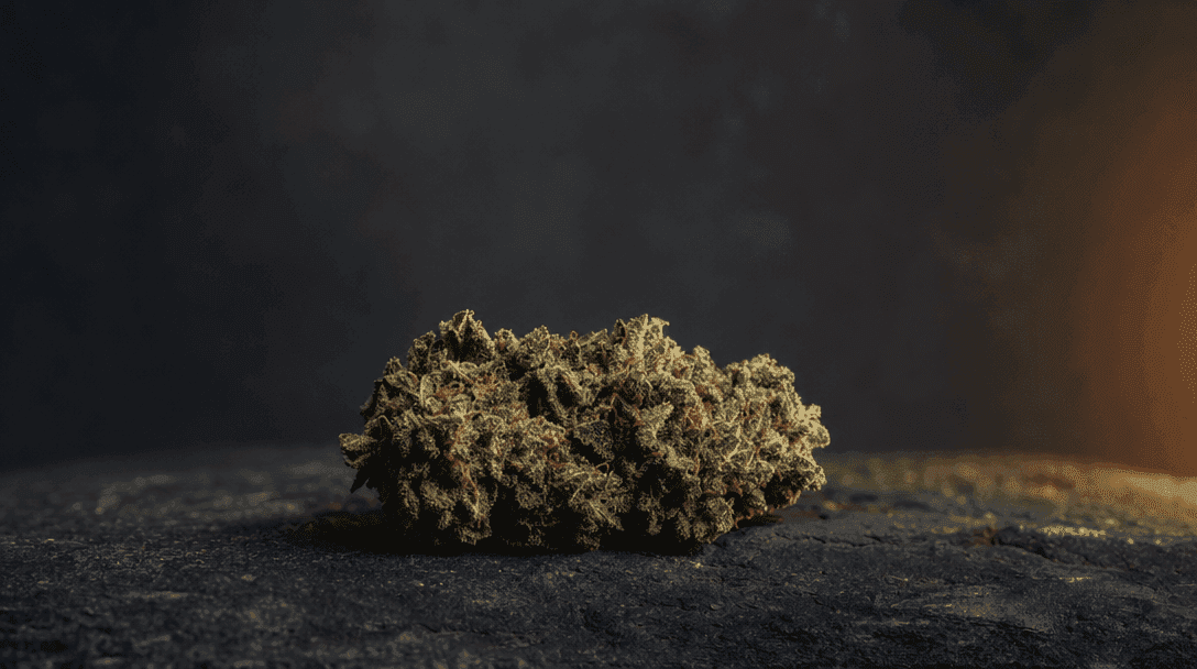 THCA Flower: What You're Actually Buying blog post cover image