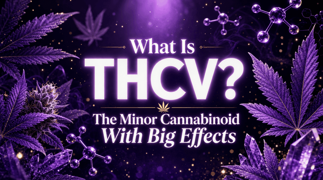 What Is THCV? The Minor Cannabinoid With Big Effects blog post cover image