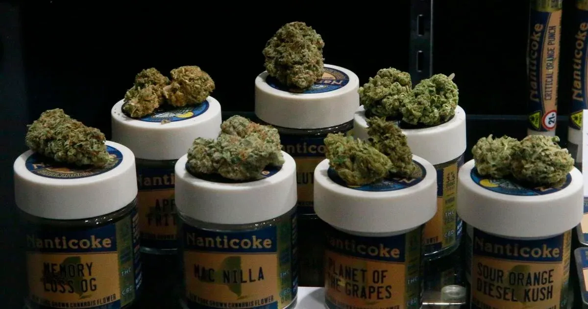Nanticoke Brand Image