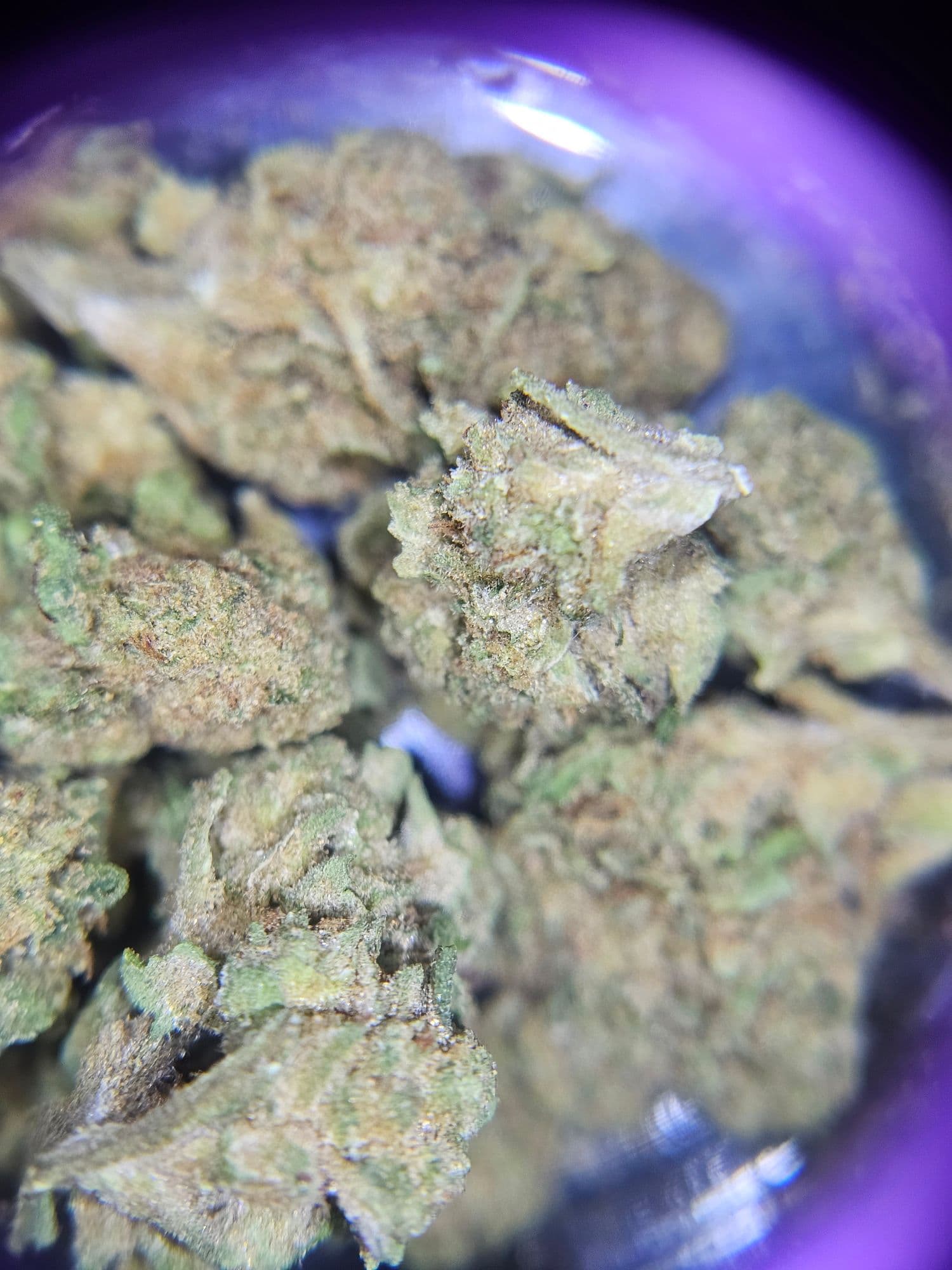 CANNA-CURE Brand Image