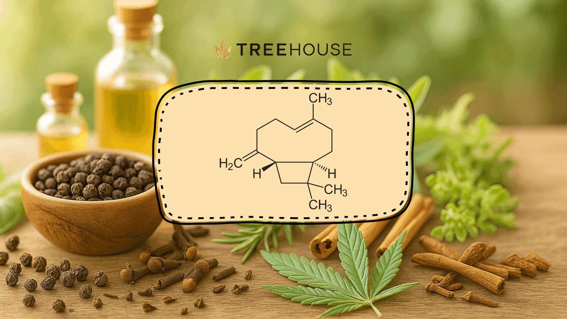 Beta-Caryophyllene: Exploring the Peppery, Herbaceous Terpene Found Across the Plant Kingdom blog post cover image