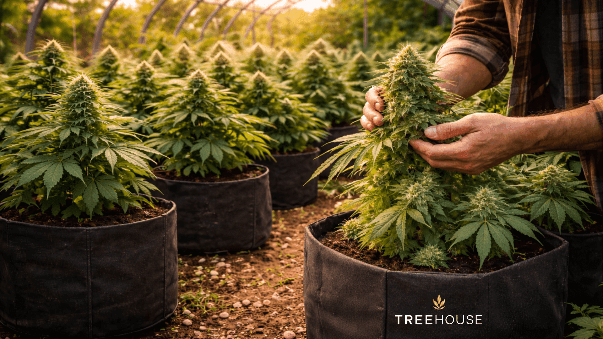 What Does Small Batch Actually Mean? blog post cover image